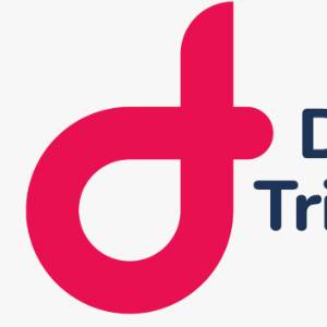 Digital Triumphs Digital Triumphs